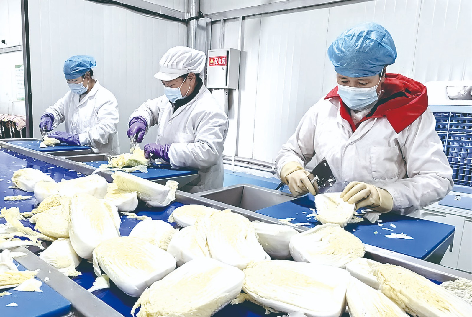 1708938805607040.jpg 888-0.jpg